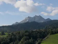 generation y GmbH