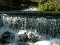 Pigrusa Pisciculture de la Gruyère SA - Klicken Sie, um das Bild 5 in einer Lightbox vergrössert darzustellen