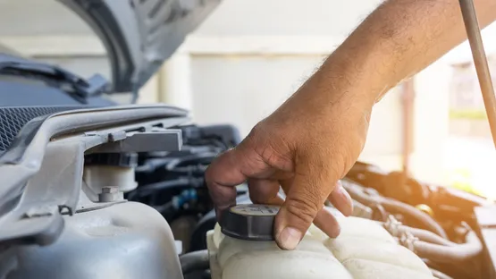 Unverzichtbare Flüssigkeiten