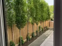 SULA Gartenbau GmbH
