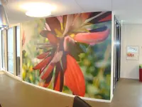 Malerei Wülser & Partner GmbH