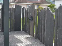 Jurt Gartenbau GmbH Landschaftsarchitektur