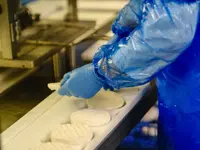 Fromagerie Moléson SA