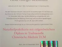 Akupunktur & TCM Heidi Gsteiger