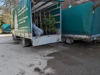 Emme Forstbaumschulen AG