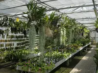 Orchidable di Andrea Martina