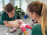 Katzen-Praxis.ch