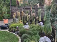 BRÜHWILER-GARTENBAU, BAUMPFLEGE