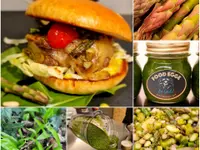 FoodEgge, Marianne Hochstrasser Huber