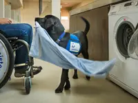 Stiftung Schweizerische Schule für Blindenführhunde