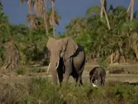 africa design travel ag