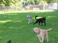 Hunde- & Katzenpension Röti