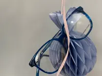 Optivision SA