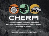 Cherpi - Damien Cherpillod