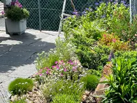 Giardiniere Hagmann Di Carlo e Pichierri SAGL