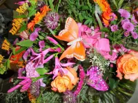 ARUM-Blumen