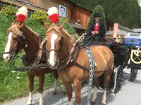 Clalüna-Sils Kutschenfahrten