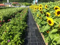 Agroservice Huber AG
