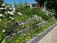 Variagarten GmbH - Klicken Sie, um das Bild 7 in einer Lightbox vergrössert darzustellen