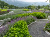 AUHOF Pflanzen Garten Blumen - Klicken Sie, um das Bild 18 in einer Lightbox vergrössert darzustellen