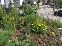 Blumen Joos GmbH
