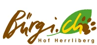 Bürgi.ch AG-Logo