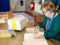 Stiftung Domino