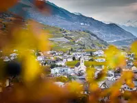 Gemeinde Salgesch - Klicken Sie, um das Bild 5 in einer Lightbox vergrössert darzustellen