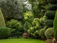 Bruno Preite Gartengestaltung und Gartenpflege - Ihr Gartenbauer im Limmattal, im Aargau & Zürich.