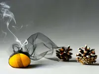Vergères Dominique