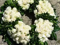Blumen Zweerus