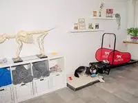 anima activa Hundephysiotherapie - Klicken Sie, um das Bild 7 in einer Lightbox vergrössert darzustellen