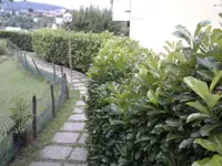 DAVIDEgiardini