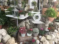 Töpferei u- Blumen Steiner GmbH