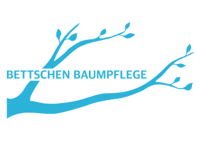 Bettschen Baumpflege / Seilarbeiten