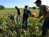Gfeller Famille maraîcher bio