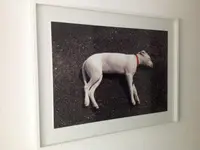 Geiser Rahmen AG