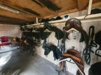 SUN RANCH Organisation