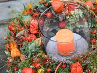 Blumen Gardyland