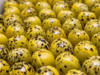 La Chocolaterie de Genève - Klicken Sie, um das Bild 1 in einer Lightbox vergrössert darzustellen