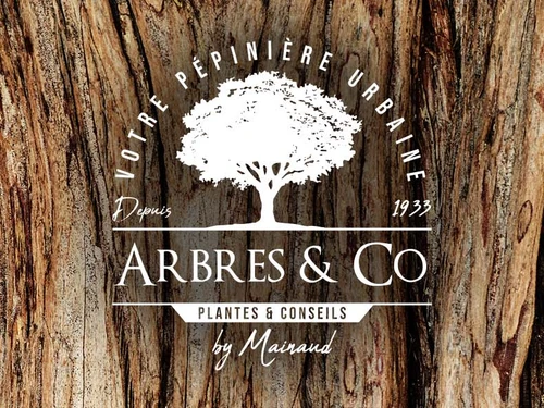 Arbres & co - Klicken, um das Panorama Bild vergrössert darzustellen