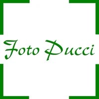 Foto Pucci Sagl-Logo