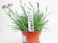 Labelpack AG