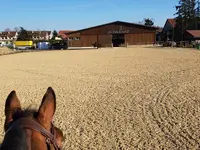 Manège de la Sallivaz & Poney club - Klicken Sie, um das Bild 2 in einer Lightbox vergrössert darzustellen