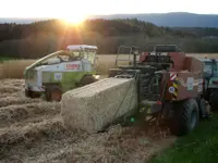 Freudiger Lohnunternehmen