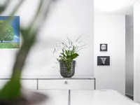 zur Linde Immobilien GmbH