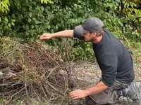 Gartencoach Dario Peyer