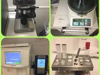 Cabinet vétérinaire des Terreaux