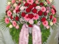 Blumen Jakob