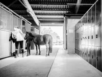 Manège et Poney Club de Presinge